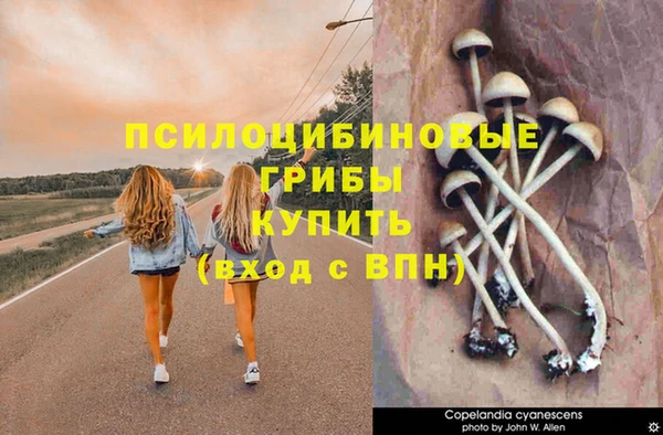 индика Балахна
