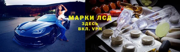 прущие крисы Аркадак