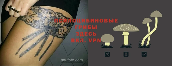 прущие крисы Аркадак