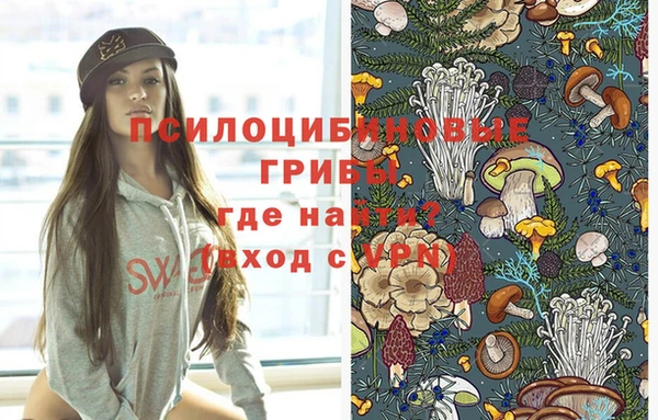 трава Армянск