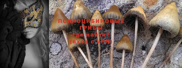 индика Балахна
