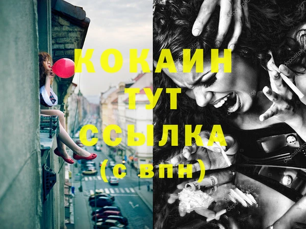 индика Балахна