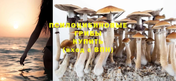 индика Балахна