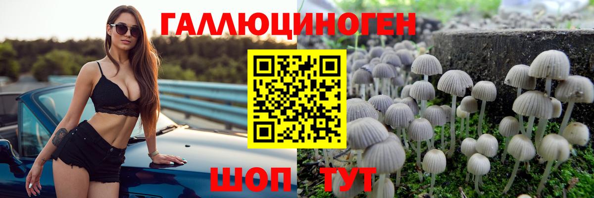 Псилоцибиновые грибы мицелий Изобильный