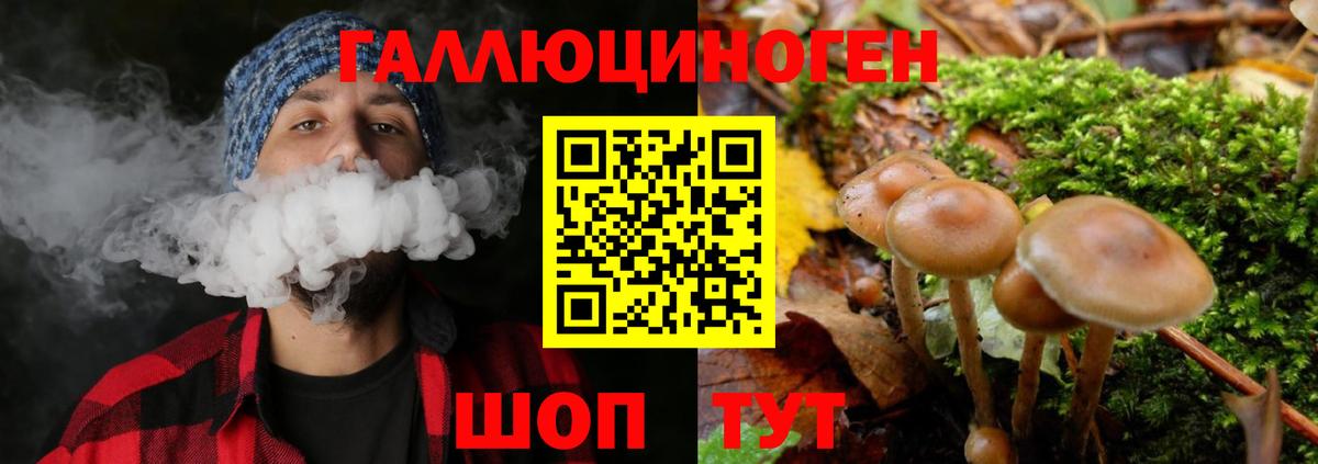 сколько стоит  Галлюциногенные грибы MAGIC MUSHROOMS  Изобильный  Вход с VPN  Псилоцибиновые грибы прущие грибы 